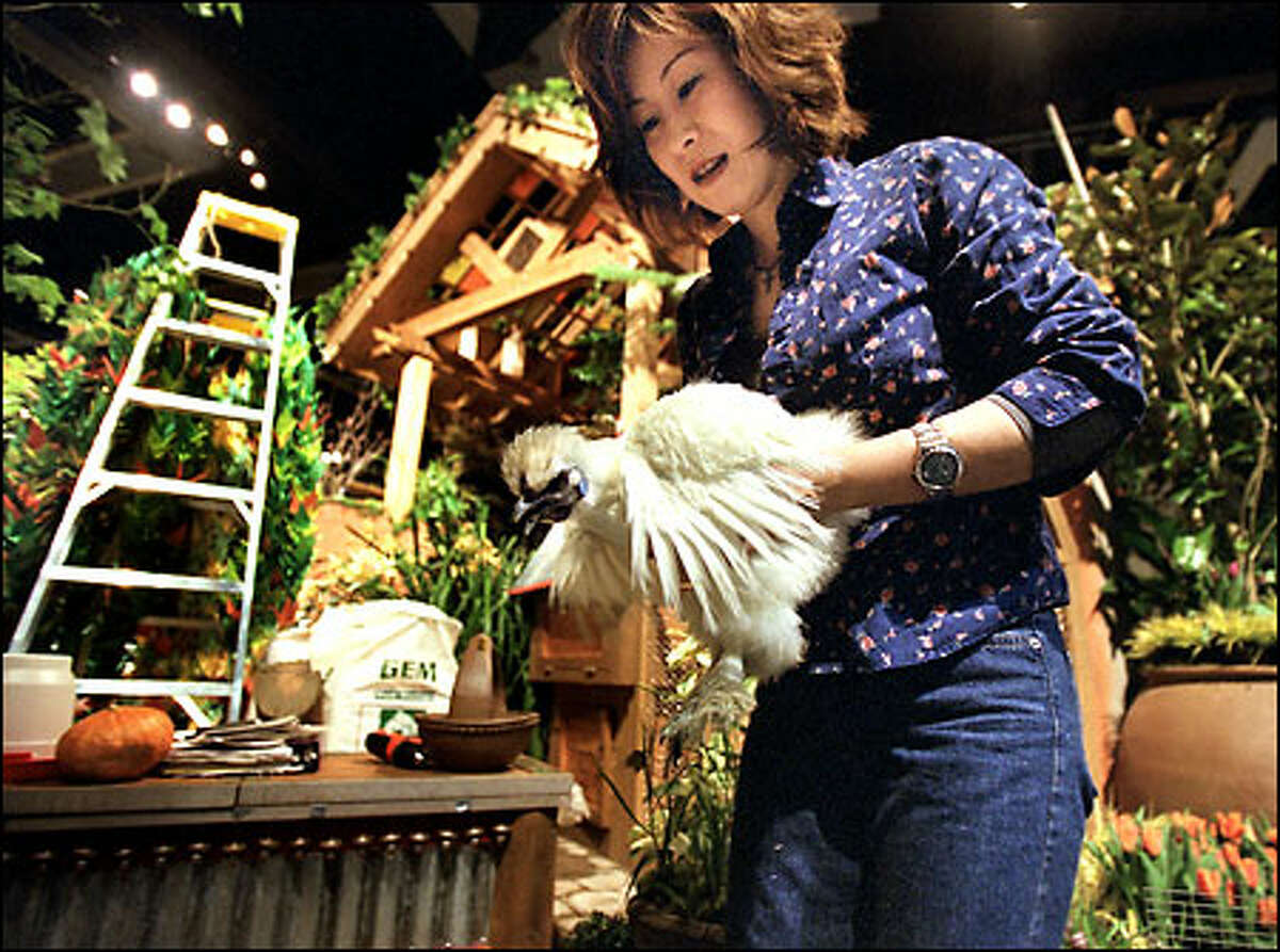 Masako Ota, a senior at the Department of Landscape and Architecture at the University of Washington, uses an Ukokkei chicken, valued for medicinal purposes, in a cultural display. Titled "Throw Away Place," it depicts immigrants bringing their cultural backgrounds to such a place to help create a new home with found objects and recyclable material.