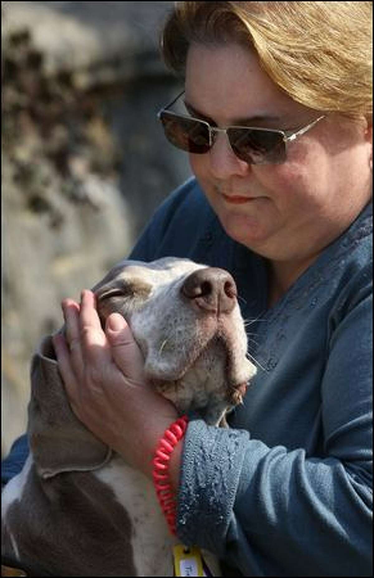 Kathy McAvoy-Rogalski hugs Gunner, a Weimaraner she cares for through her Fetch pet sitting franchise.