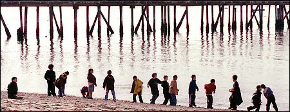 Youngsters from the Grow With Us day care school in Edmonds enjoy a field trip to the beach at Edmonds Marina yesterday. The children tried their hand at skipping rocks and took in the sunshine on the 50-degree day.