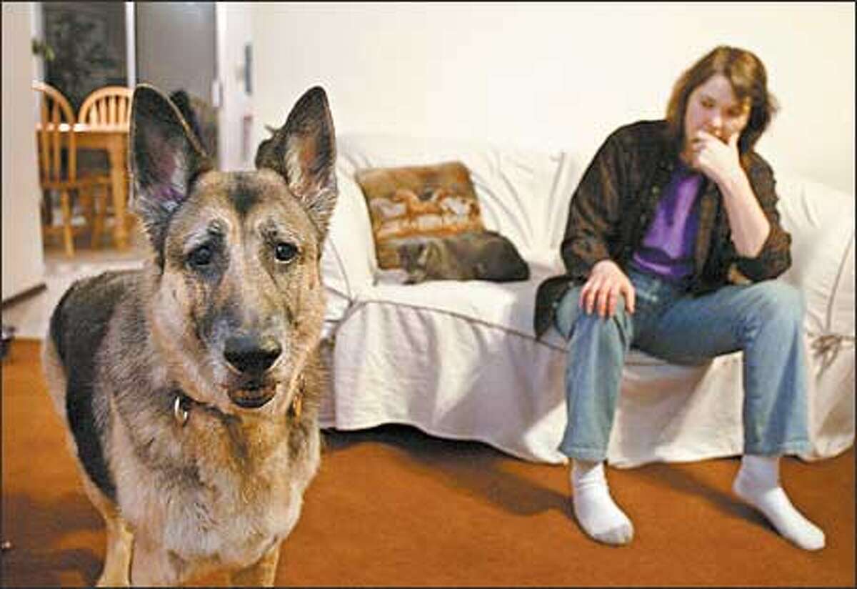 Allison, a German shepherd, barked at an appraiser. For that, and her breed, Wiccan York-Patten's homeowner insurance was canceled.