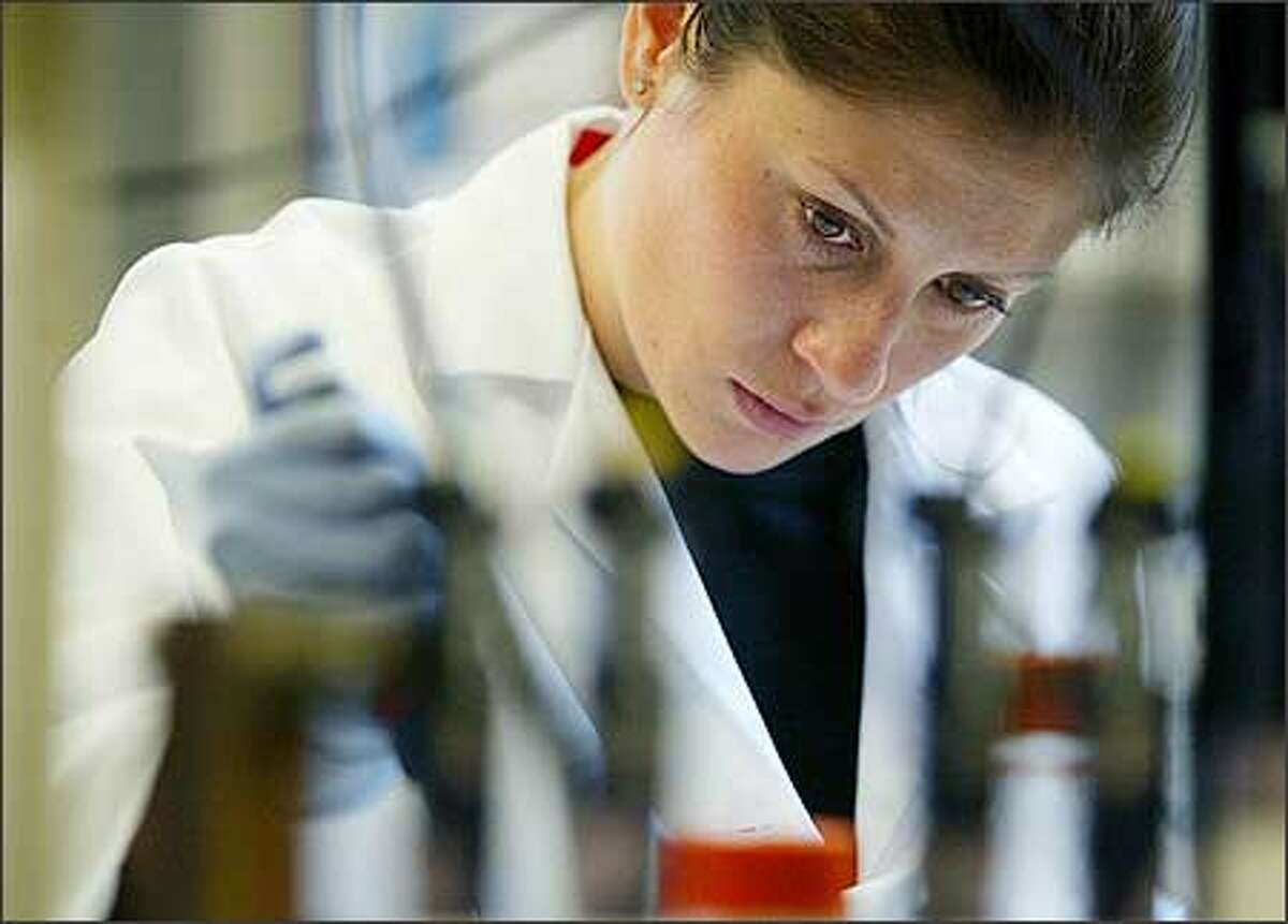 Graduate student Kristen Helton at work in professor Paul Yager's bioengineering laboratory in Fluke Hall at the University of Washington.