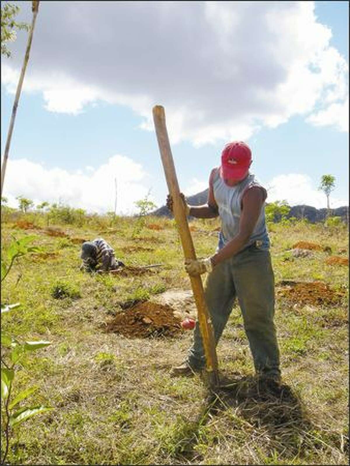 Edgard Castro digs a hole to plant passion fruit vines on a new farm in near Matagalpa, Nicaragua. A Seattle non-profit group called Agros International is helping poor families buy the land, and make it productive.