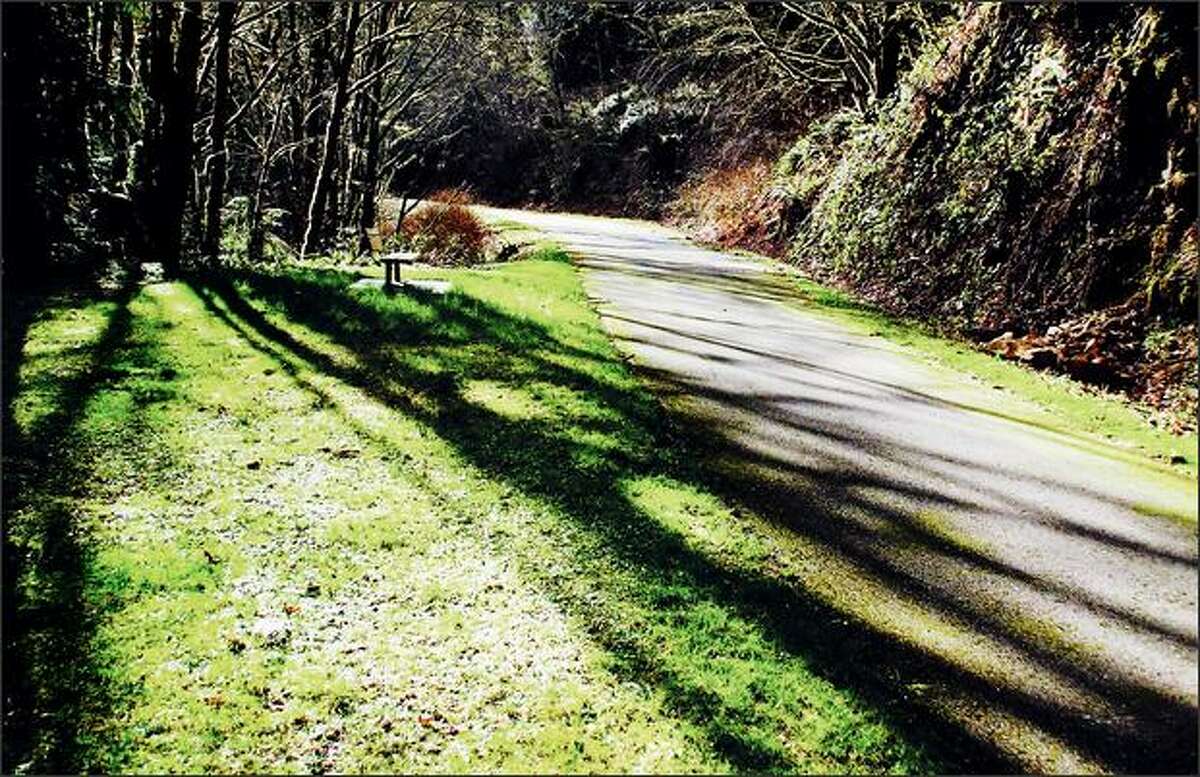 The sunlight-dappled Preston-Snoqualmie Trail is mostly paved.