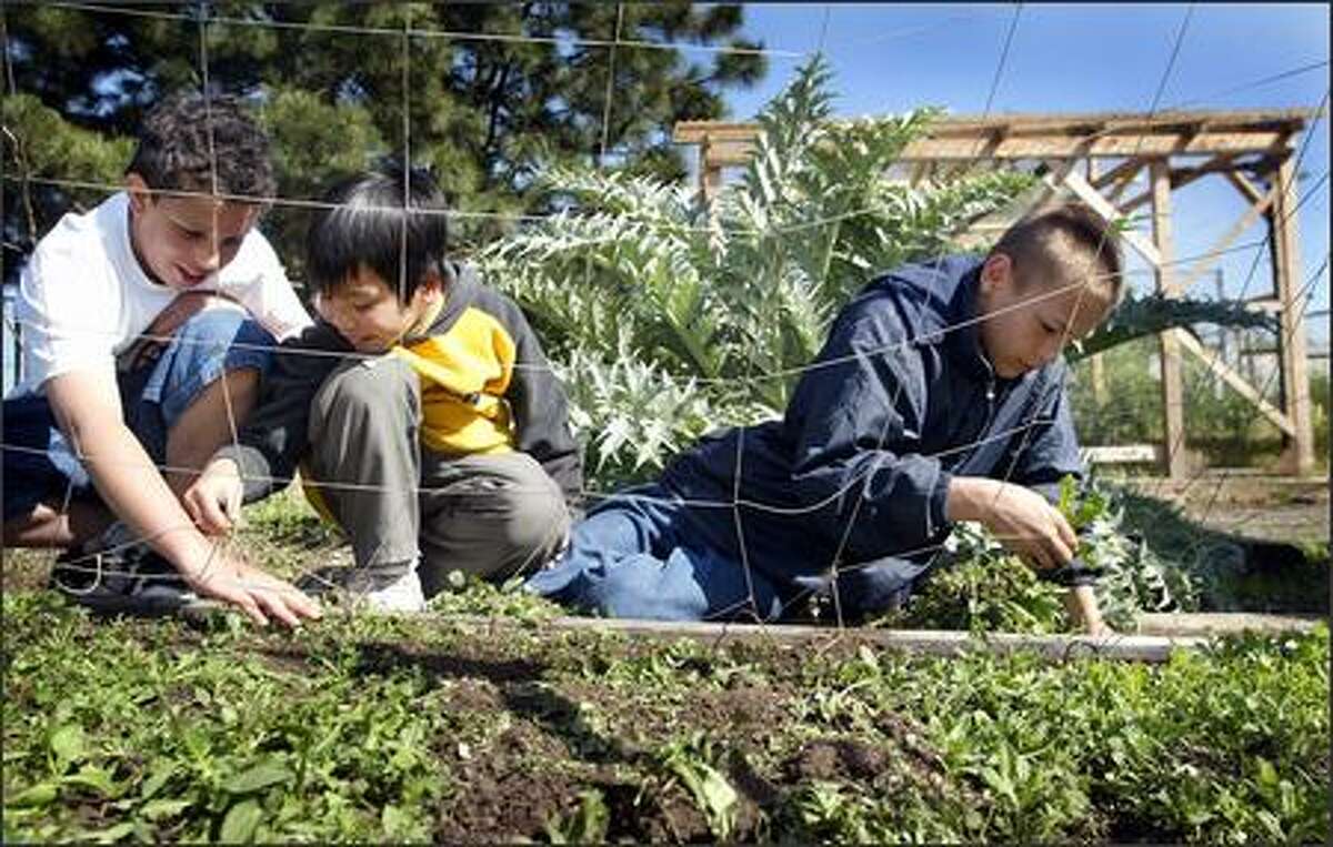 Daily News Gallery 4/30/2004