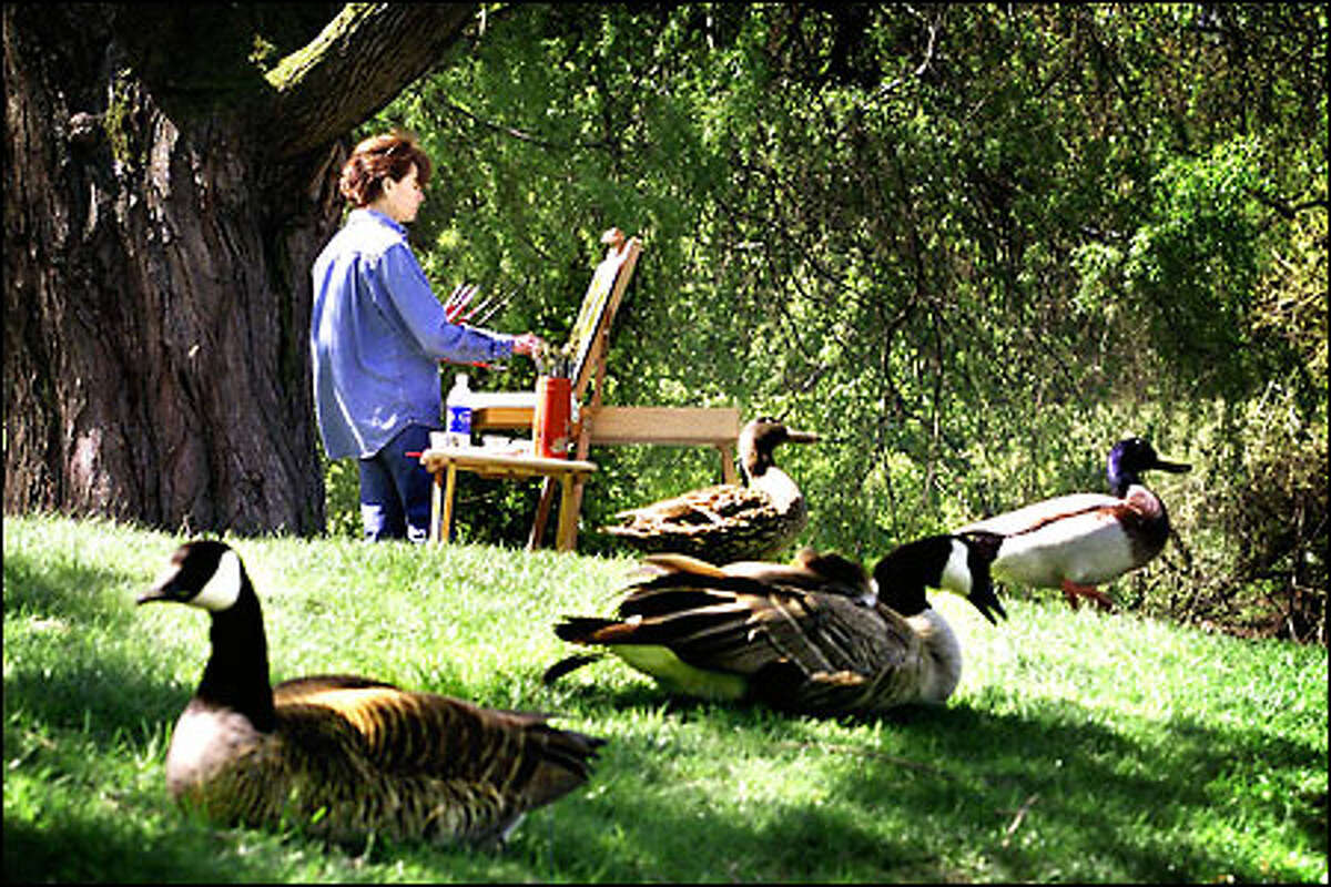 Elizabeth Brown of Woodinville paints among the geese at the Washington Park Arboretum. She was among a group of Victor Sandblom’s art students painting in the Arboretum Monday. Today’s weather should offer another good day for being outside and painting, among other things.