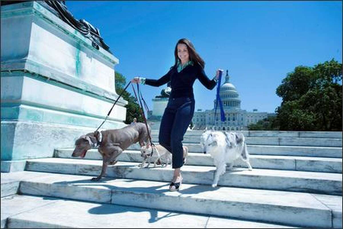 Kristin Davis, just because "Sex and the City" is over doesn't mean you need to take a job as a dog walker! Think of the syndication royalties, woman! Actually, the actress is a pet lover who recently visited the nation's capital to help raise awareness for pet rescuers, including 10 Rally to Rescue Ambassadors.