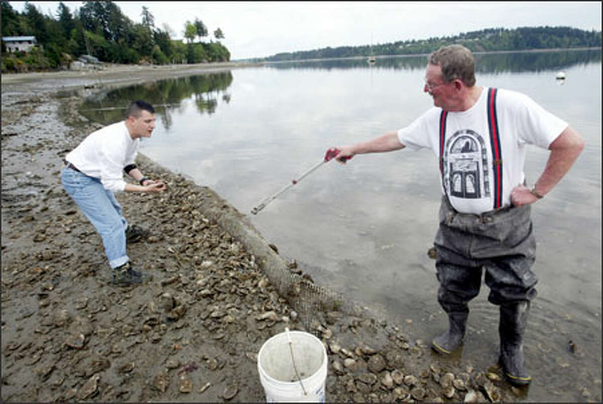 John Adams, left, and his father, Evan, look for oysters on their Shelton shellfish farm. John Adams is trying to rebuild the business after returning from Iraq.