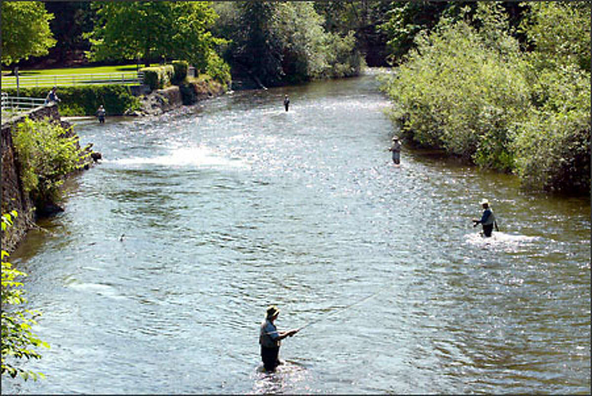 Washington closes all recreational fishing until April 8