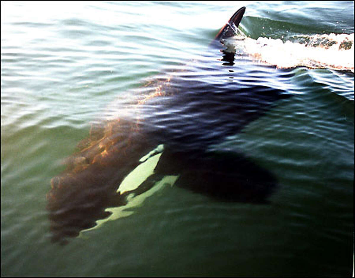 Daily News Gallery 6/16/2001