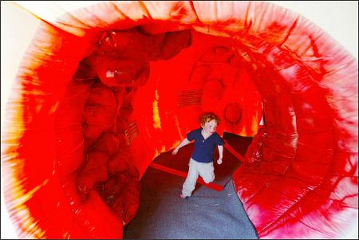 Hugh Gleysteen, 3, of Seattle runs through the 20-foot-long colon exhibit at South Lake Union Park. It is part of a traveling exhibit and illustrates what healthy, diseased and cancerous colon tissue looks like. There's also information on other cancers, and ways to prevent cancer from starting.