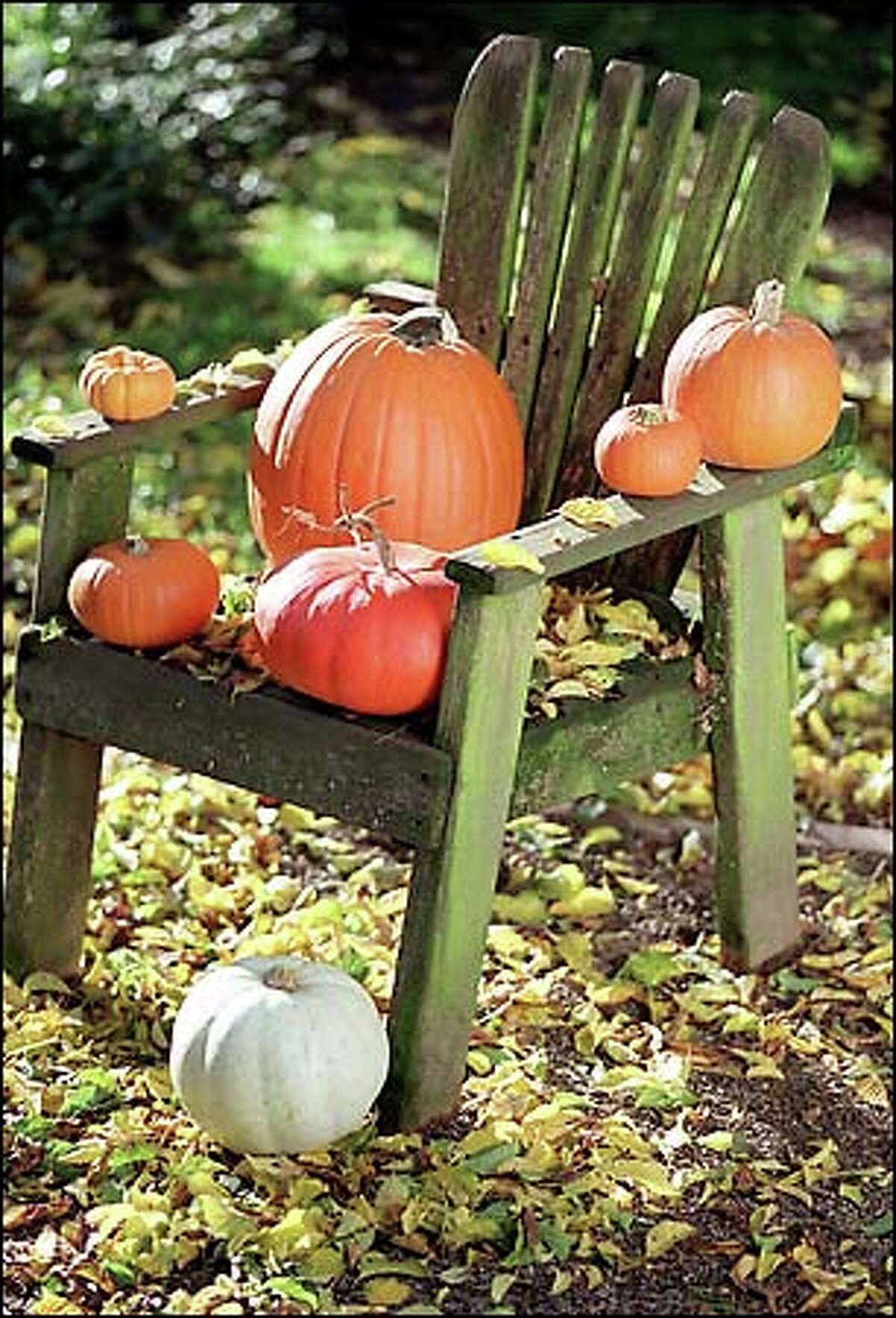 Daily News Gallery 10/25/2001