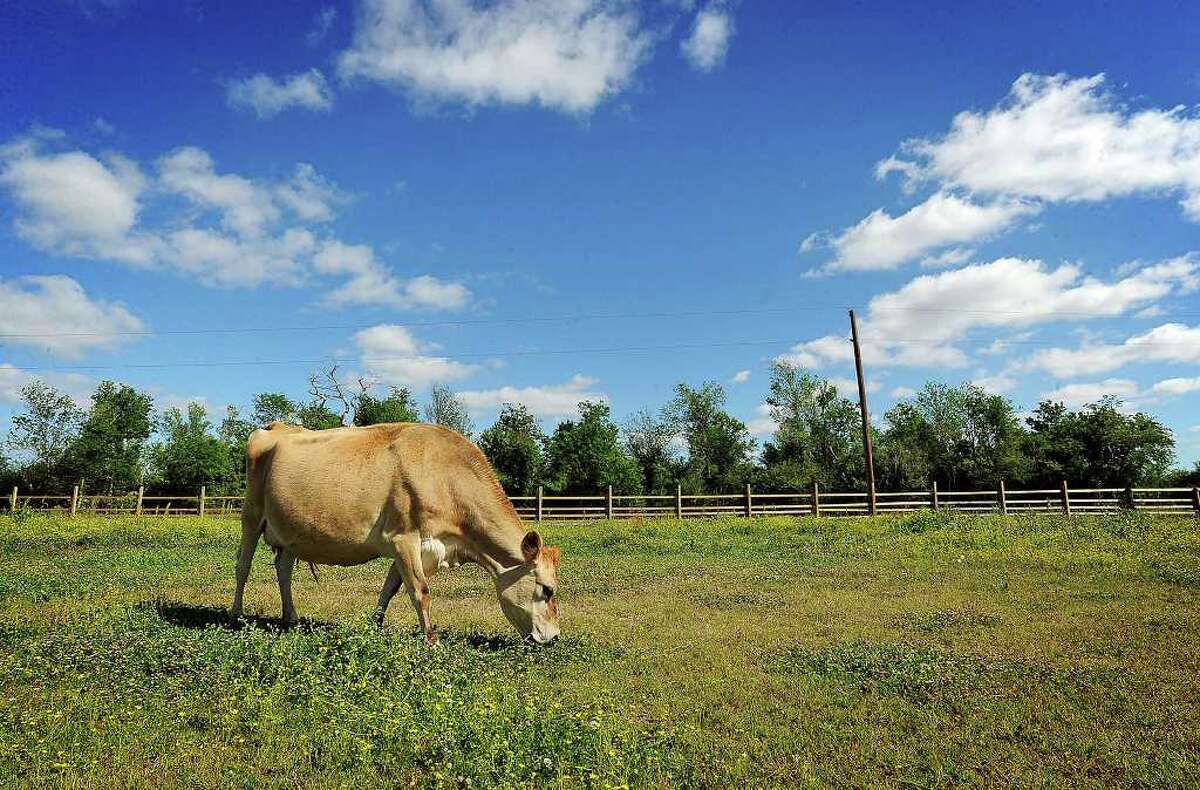 New bill would allow raw milk to be sold outside of farm