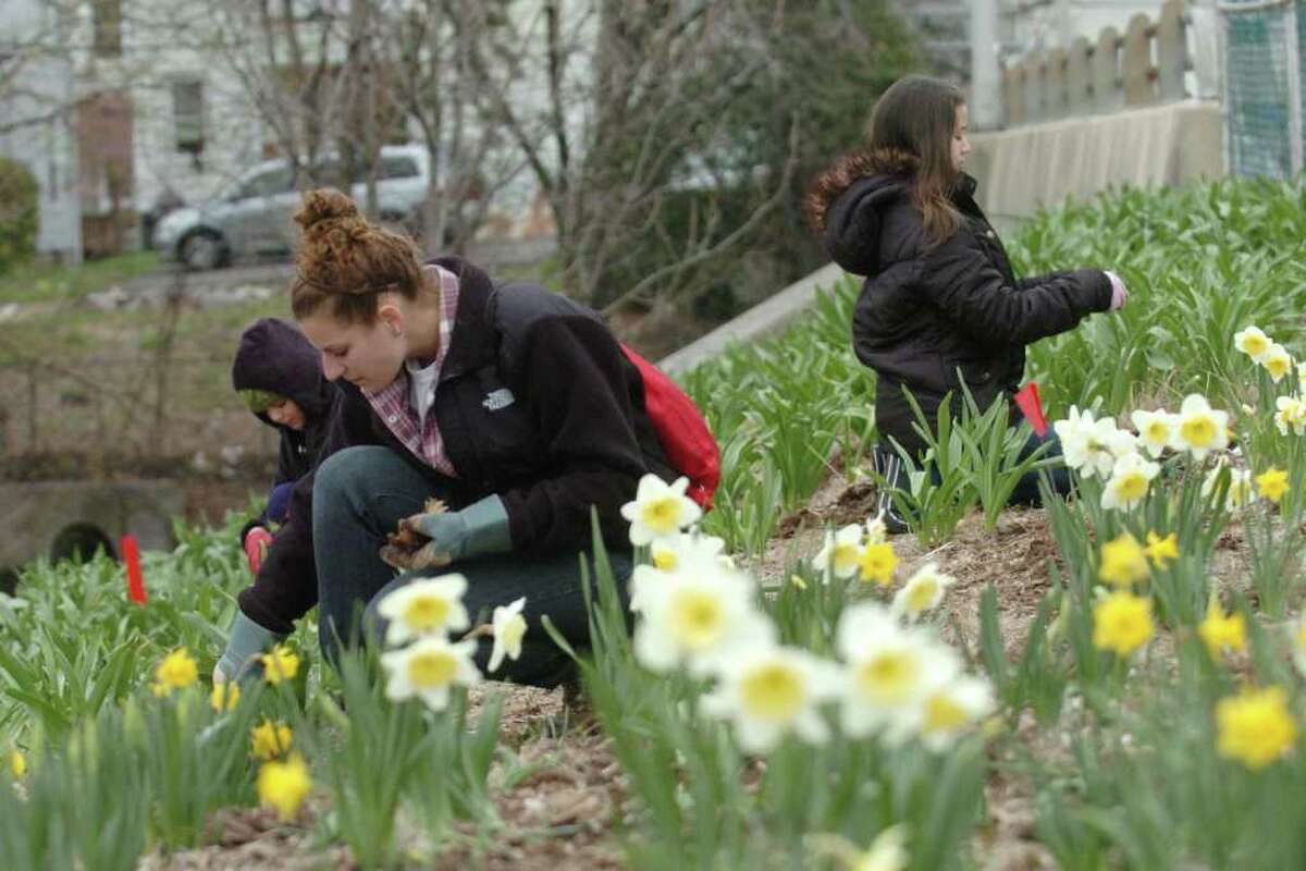 (L to R) Michelle Greenman, 17, and Carolyn Houtz, 12, plant flowers at Mill River Park during the Earth Day event in Stamford, Conn. on Saturday April 16, 2011.