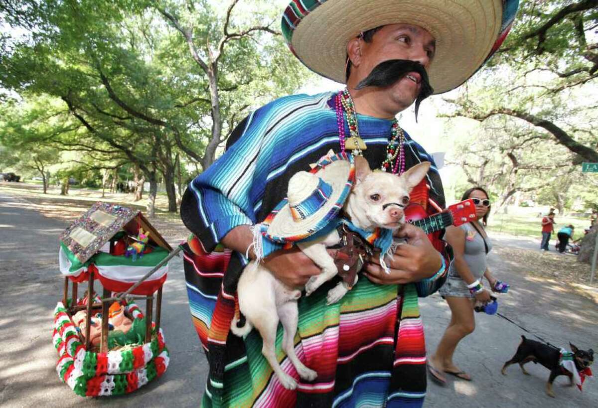 Ernest Vallejo walks with his chihuahua, "Conchito" during the Fiesta Pooch Parade in Alamo Heights, Texas on Saturday, April 16, 2011.