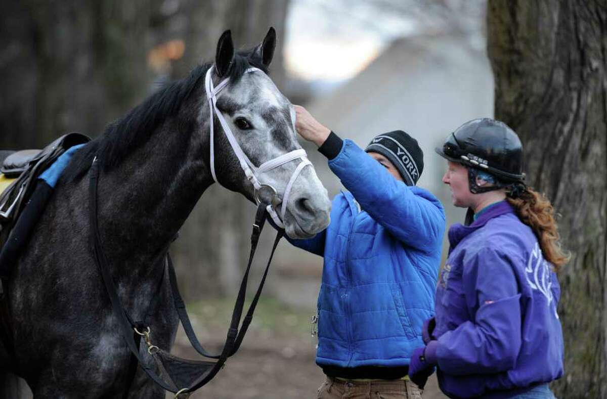 Rizzi's Comet is prepared for exercise rider Stephanie Ravinski on Monday at the Oklahoma Training Center. Rizzi's Comet, trained by Glenn DiSanto, was the first horse on the track for opening day of the training center adjacent to Saratoga Race Course in Saratoga Springs. (Skip Dickstein / Times Union)