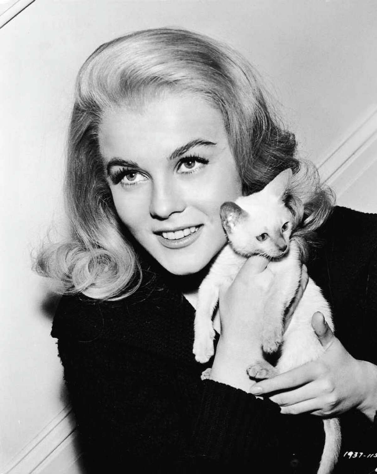 Promotional portrait of Swedish born actor Ann-Margret holding a Siamese kitten for the film, 'Kitten With a Whip,' 1964.