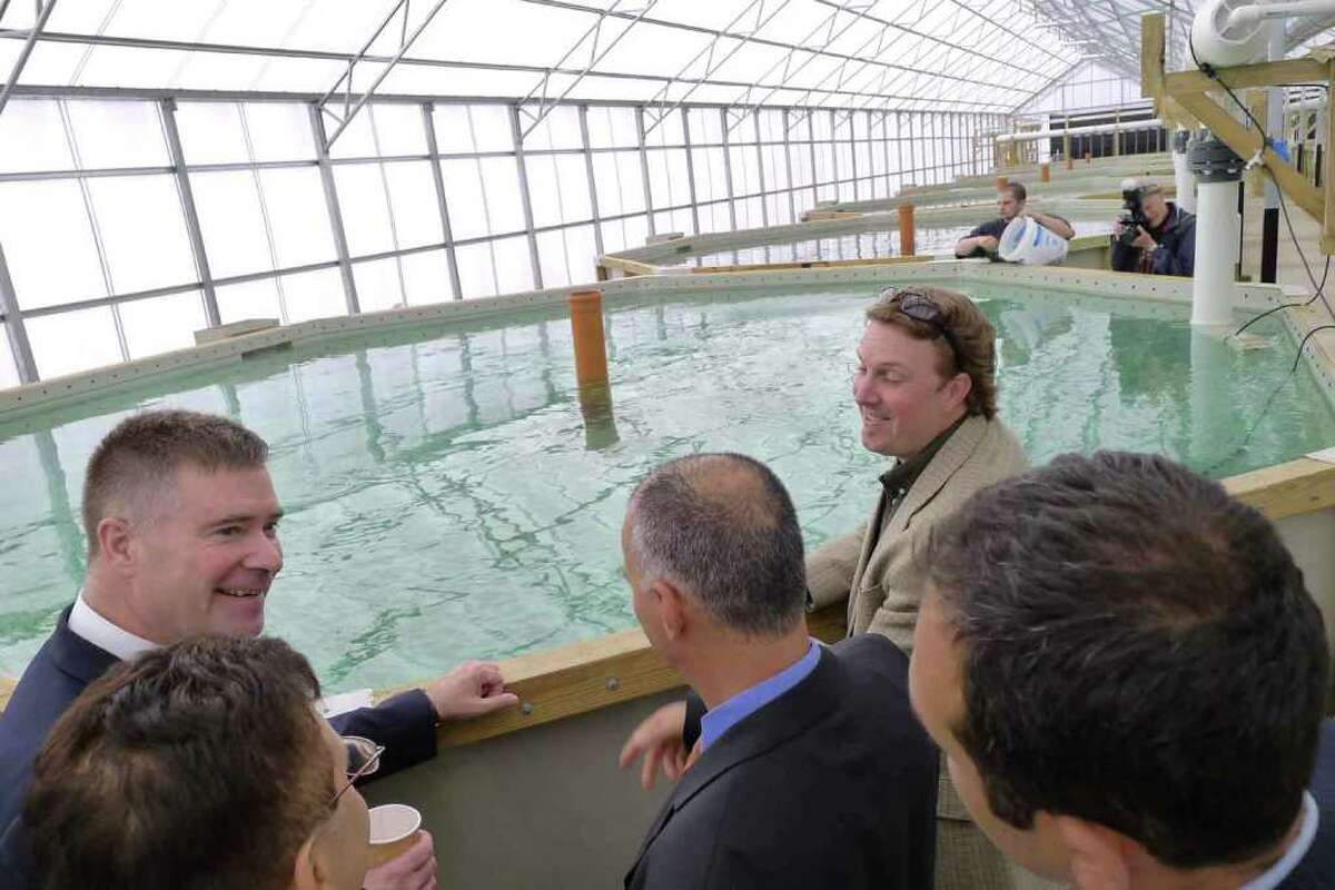Congressman Chris Gibsons,left, tours the Local Ocean fishery in Greenport, NY Friday April 29, 2011. During a press conference National Grid announced a $250,000 economic developement grant for expansion of the facility.( Michael P. Farrell/Times Union )
