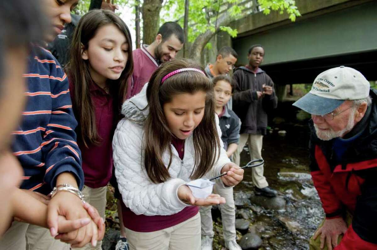 Analiette Rodriguez, 11, holds a net full of fish as students from Domus release a barrel of trout into the Rippowam River in Stamford, Conn. on Wednesday May 4, 2011. The students raised hundereds of trout from eggs during a cross-curricular experiment.