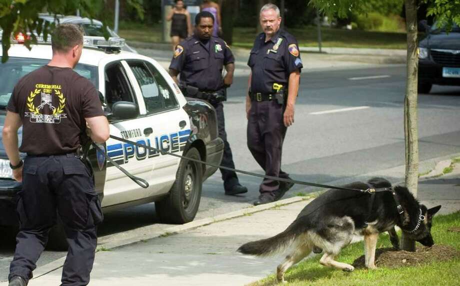 Stamford police dog attacks Greenwich jogger ...