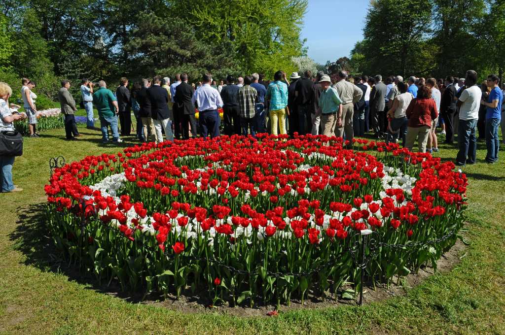 Scenes from Albany's Tulip Festival