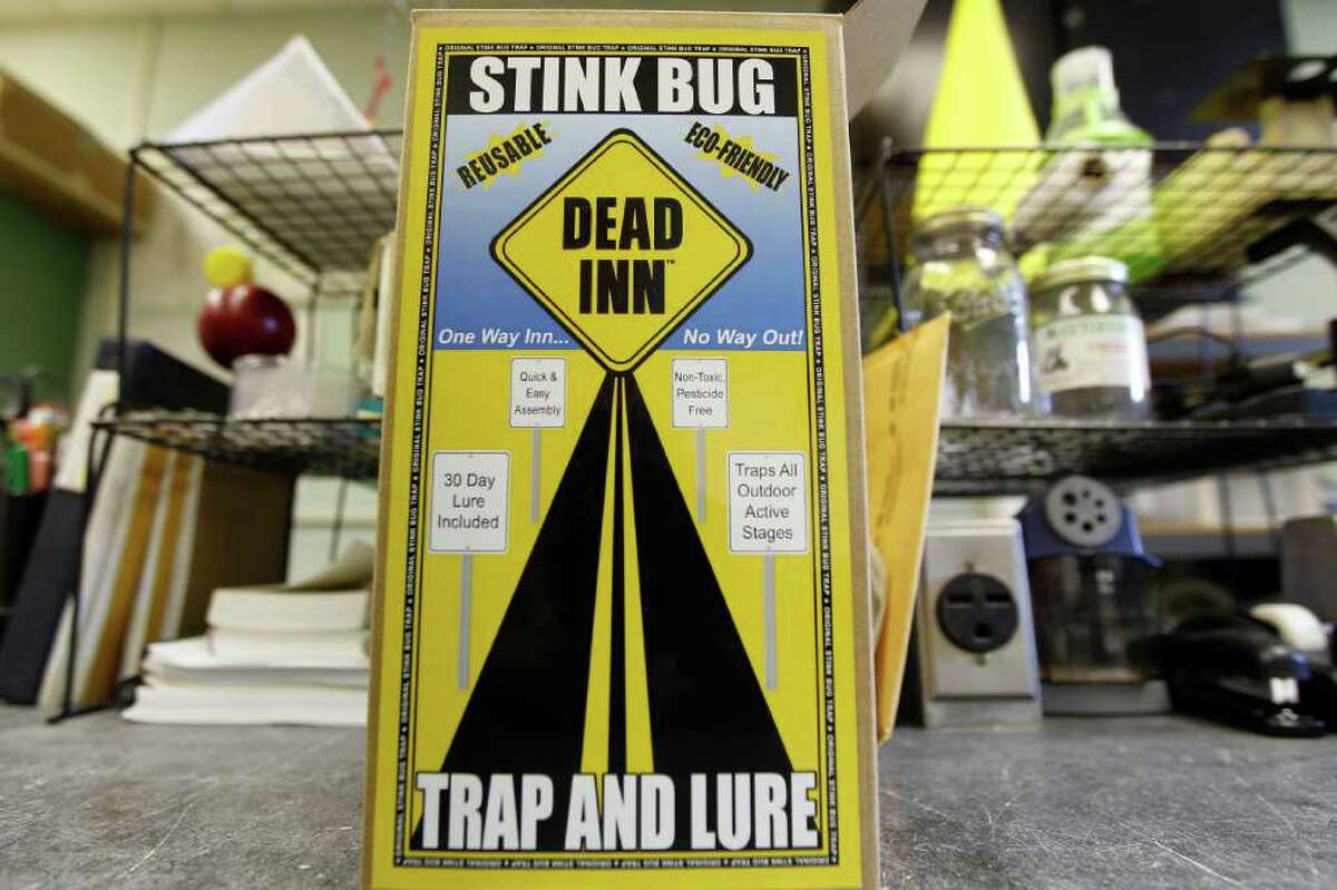 This Thursday, April 14, 2011, photo shows a brown marmorated stink bug trap at a Penn State research station in Biglerville, Pa. The invasive species was first identified in Allentown, Pa. in 1998, but researchers there think it had been around for at least a couple of years. It is now is in 33 states, including every state east of the Mississippi River and along the Pacific coast. In the summer of 2010, the insect damaged 20 percent to 100 percent of the fruit crops in some areas of Maryland and West Virginia, according to government entomologists.