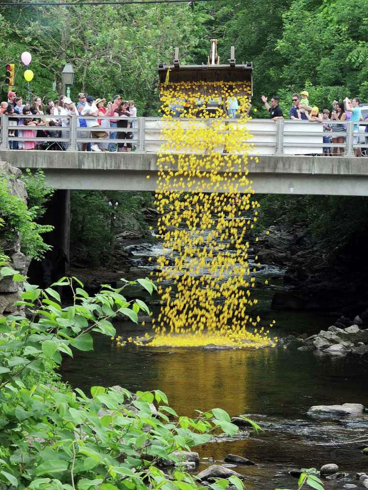 Almost 4,000 rubber ducks will be released for the Annual Newtown Lions Club Duck Race. The event is a Lion's Club fundraiser, with proceeds from donations going to various charities. The duck release is one of many attractions during a day of entertainment and family fun.