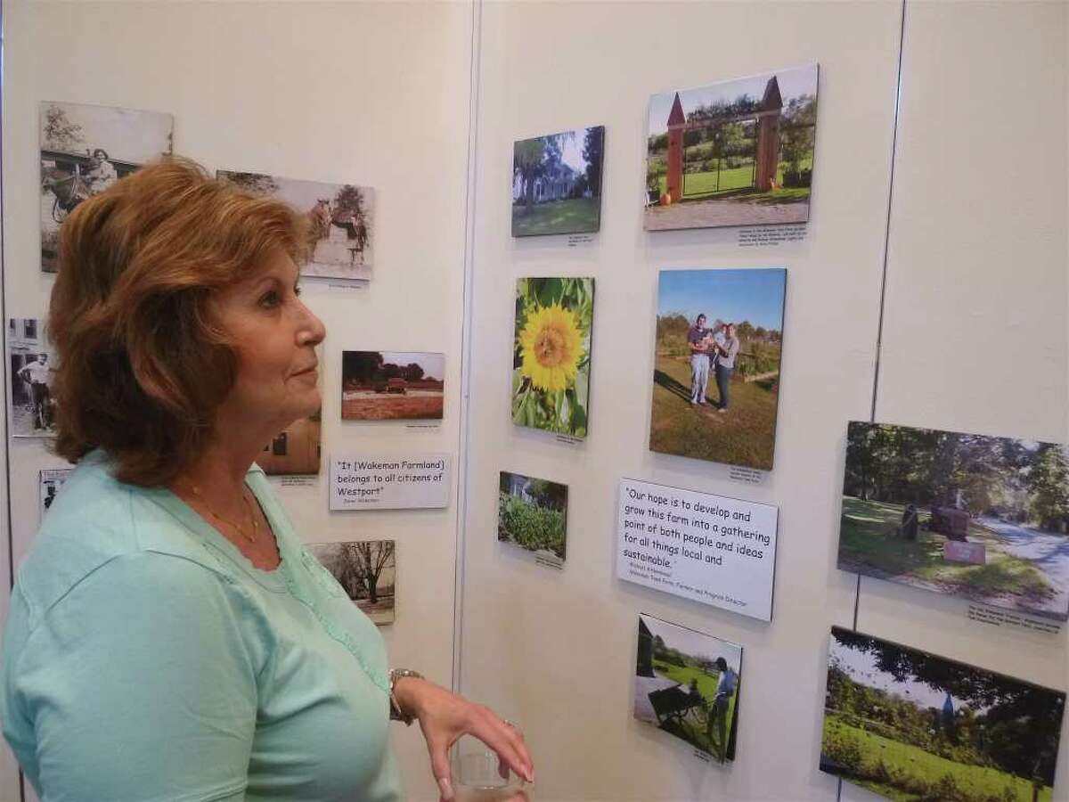 Robbie Barnes looks at information about Wakeman Town Farm at the Back to Our Roots exhibit, which opened Friday at the Westport Historical Society.