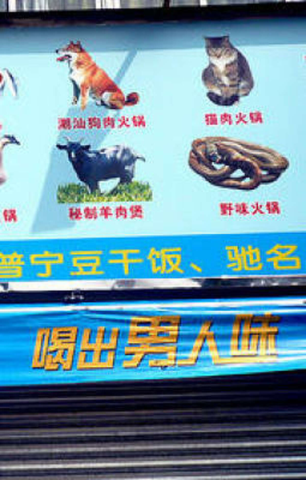 Menu selections in Shenzen, China. (Photo from Gruntzooki on Flickr.)