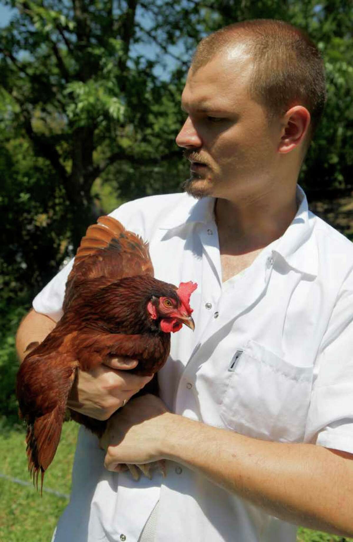 Michael Sohocki, Restaurant Gwendolyn owner and chef, holds one of the chickens he raises in his backyard. Sohocki, who gathers about six eggs a day, says he trusts the eggs because he knows where they come from.