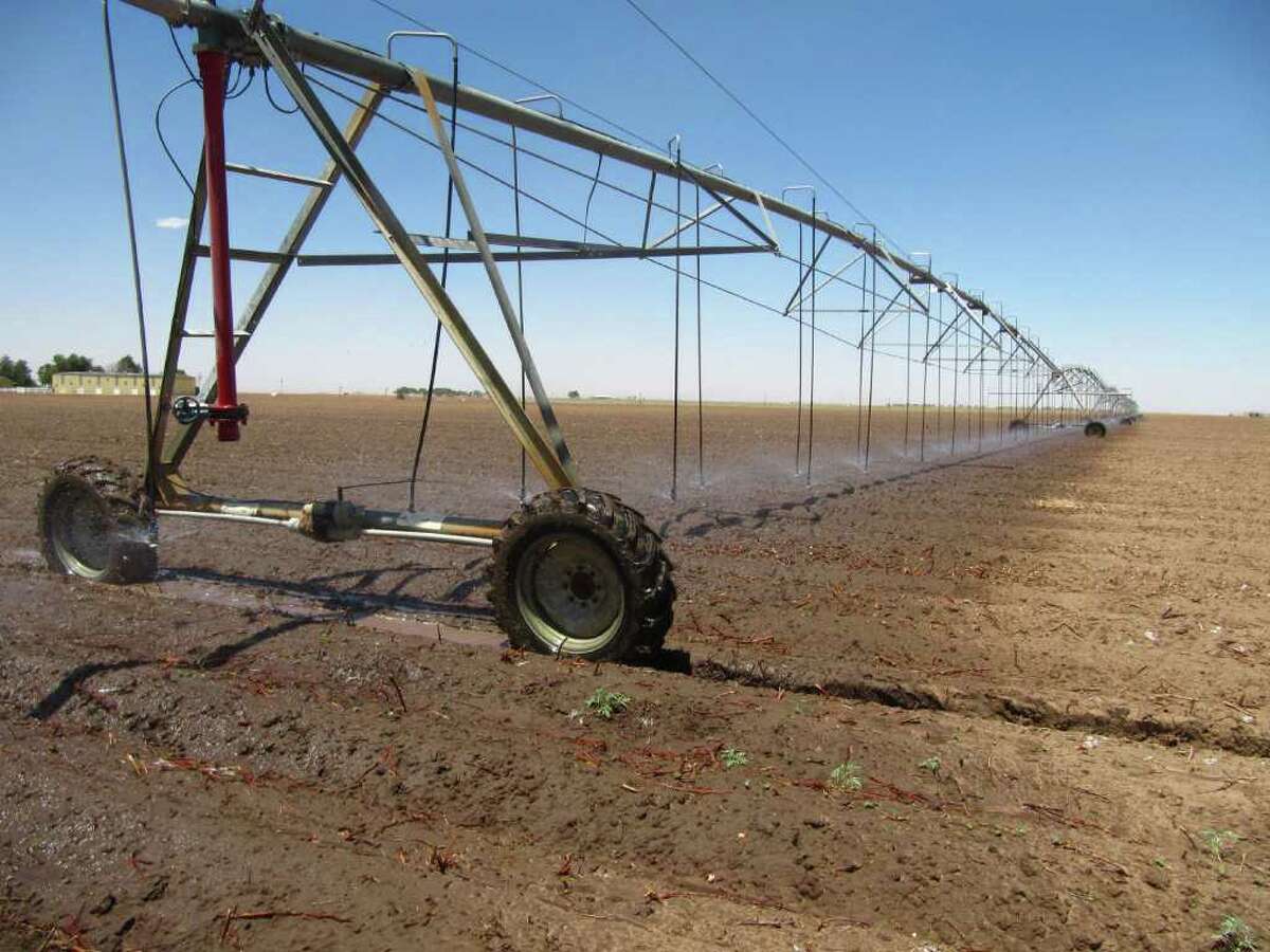 In this May 19, 2011 photo an above ground irrigation system makes its way across a cotton field near Lubbock, Texas. Irrigation systems are one way some of farmers are overcoming drought conditions as planting continues in the Texas' South Plains.