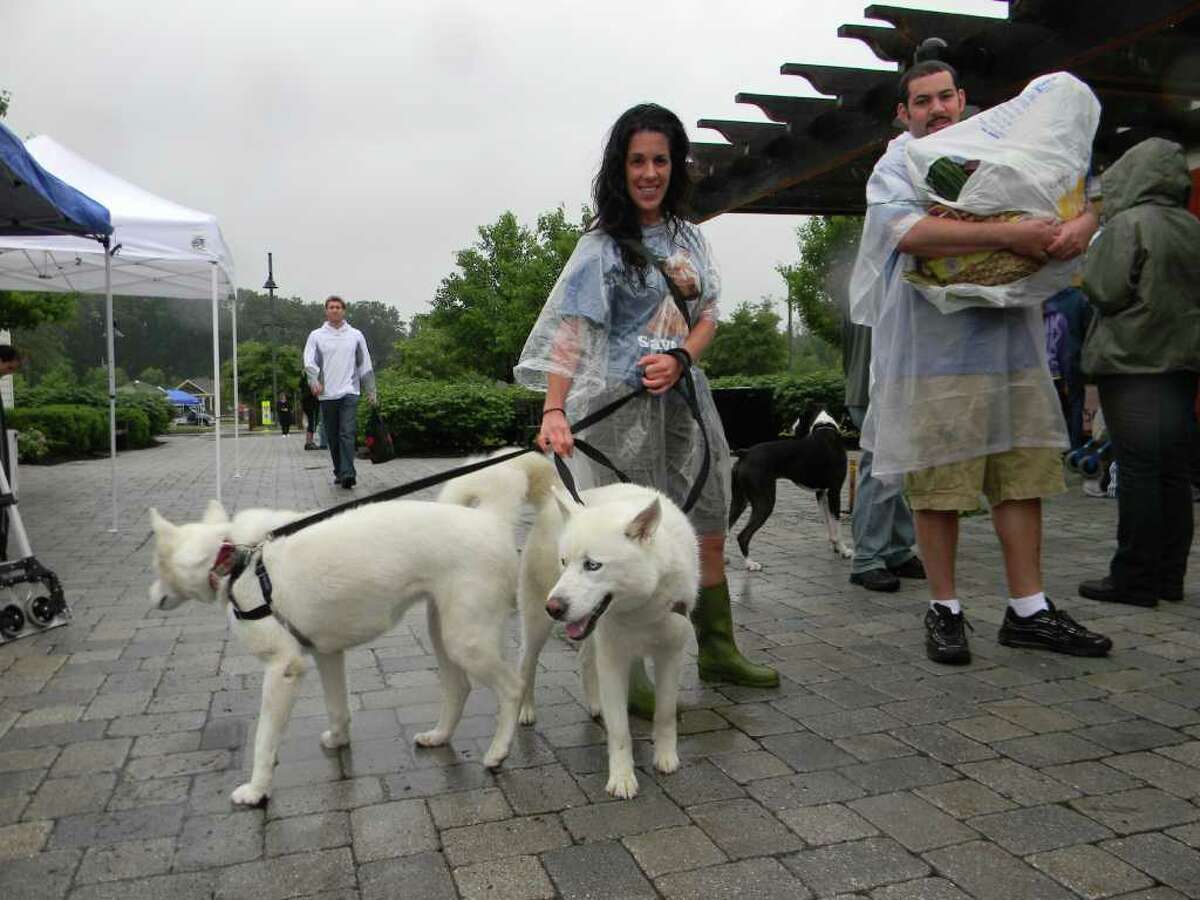 Were you Seen at the Paws in the Park benefit at The Crossings in Colonie Saturday?