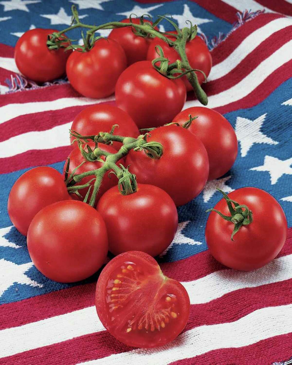 'Fourth of July' tomato