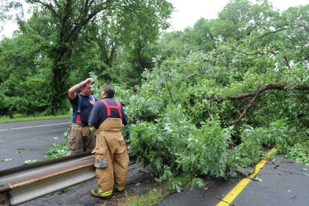 Massachusetts man killed by fallen tree on Merritt Parkway