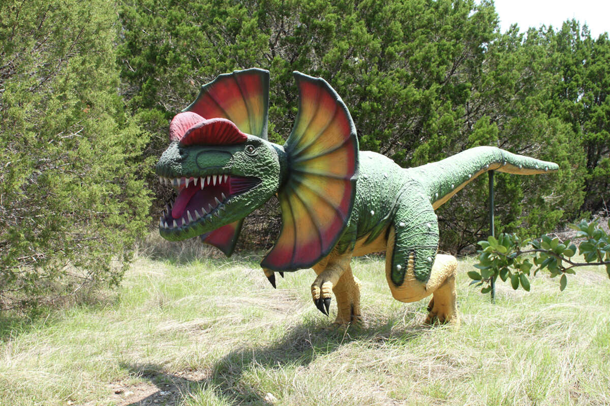 Stroll among life-size models of dinosaurs at Dinosaur World. KATHLEEN SCOTT / SPECIAL TO THE EXPRESS-NEWS