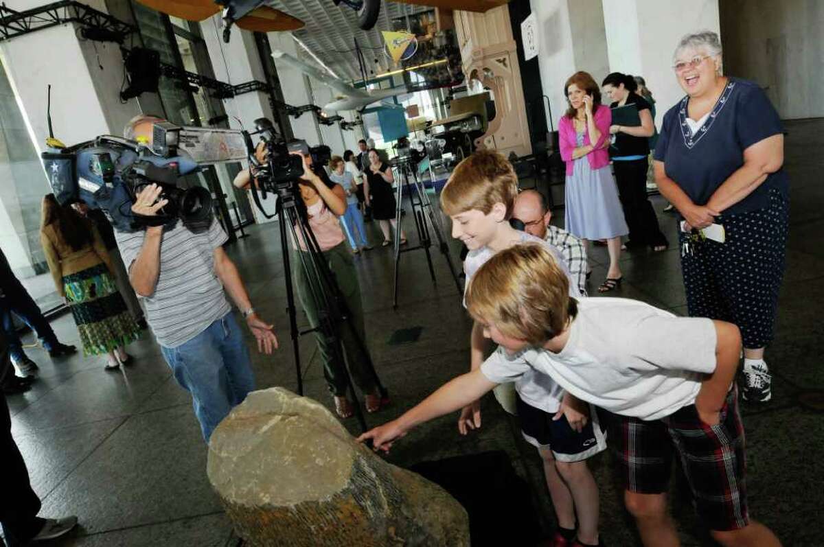 380 million years later, stumps rise from muck