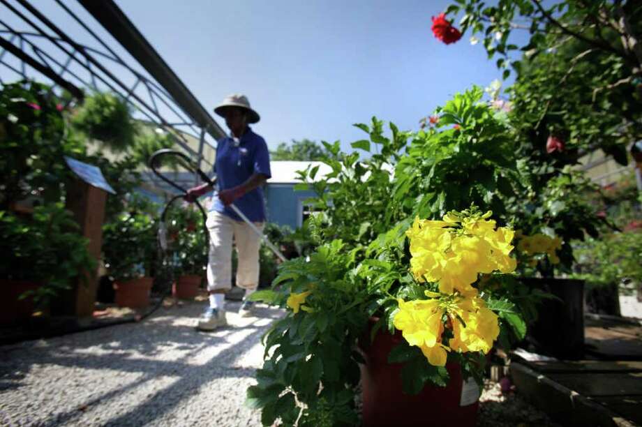 Look At Drought As A Welcome Break From Gardening San Antonio