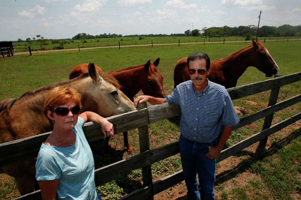 Waller County residents Jimmy and Donna Dishroon, live across the street from the proposed landfill and industrial park about a mile north of Hempstead off of Hwy. 6, where they buy and sell horses Wednesday, July 6, 2011, in Hempstead. A Georgia-based company plans to build a mixed-use industrial facility including a landfill that residents say will be used for Harris County trash. "A dump isn't what we imagined what would end up there," Jimmy Dishroon said of the property across the street from their home. "This situation is like David and Goliath," Donna Dishroon said. "We are David and we are going to sling that rock and defeat this Goliath." ( Johnny Hanson / Houston Chronicle )