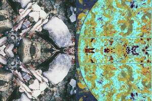 Crossroads and Symmetries: Exhibits opening at Silvermine Arts Center - Photo