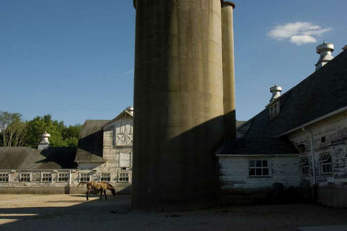 Newtown Horse Guard again under budget ax