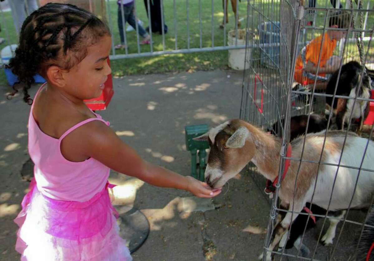 Olivia Snyder, age 4 of Albany, feeds a goat at GE's Kids Day at the Empire State Plaza, Albany, on Sunday, July 17, 2011. The outdoor event featured many free activites and entertainment for children of all ages. (Erin Colligan / Special To The Times Union)