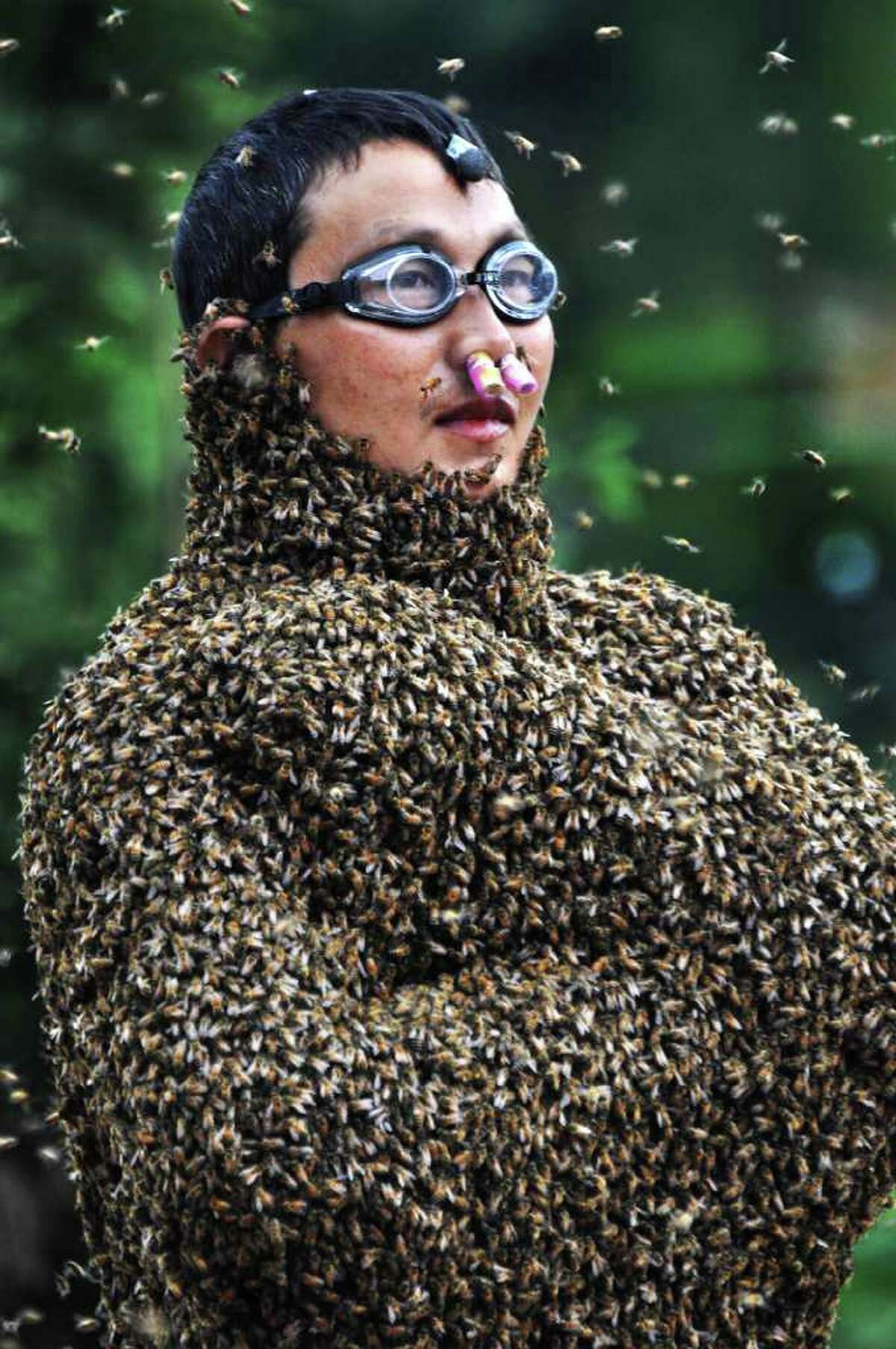In this photo released by Xinhua News Agency, 42-year-old beekeeper Wang Dalin is covered with bees during a contest against 20-year-old Lu Kongjiang, also a beekeeper, in Longhui County of Shaoyang City, central China's Hunan Province, Sunday, July 17, 2011. Wang finally won in the hour-long duel since 26 kilograms (57 pounds) of bees covered his body, Xinhua said. (AP Photo/Xinhua/Lu Jianshe) NO SALES