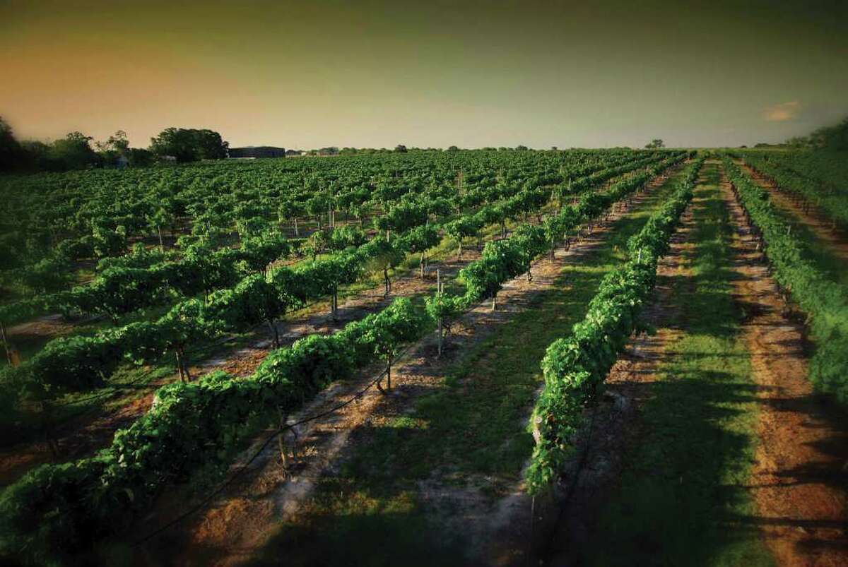 Messina Hof Winery and Resort in Bryan is among the wineries profiled in "Spectacular Wineries of Texas."