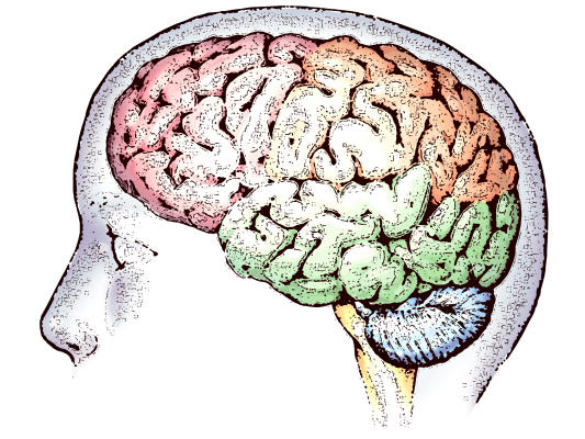 New research indicates brain develops well into teen years