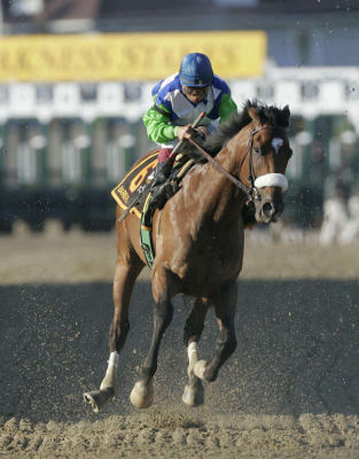 Kentucky Derby winner Barbaro is euthanized