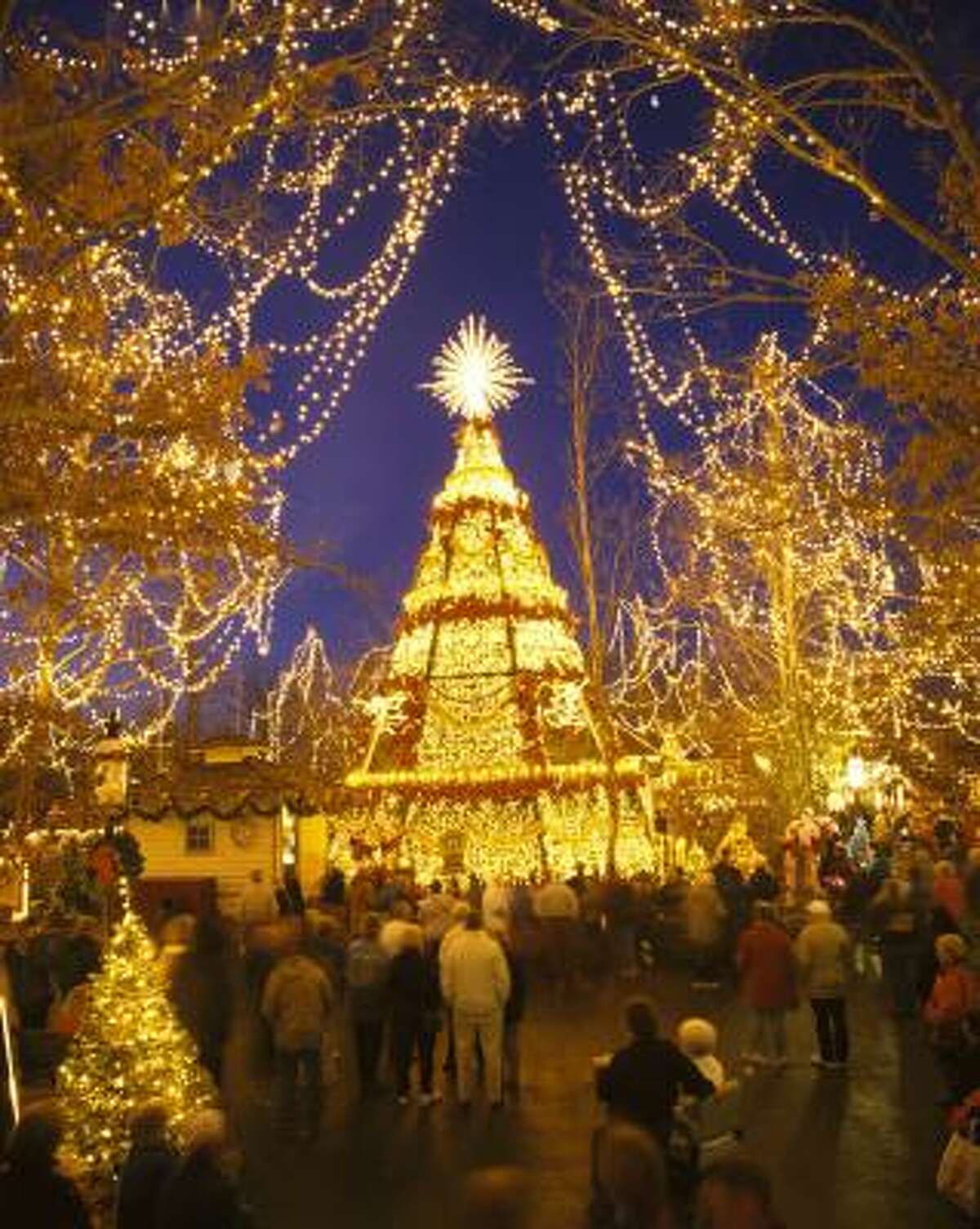 Best Christmas light displays