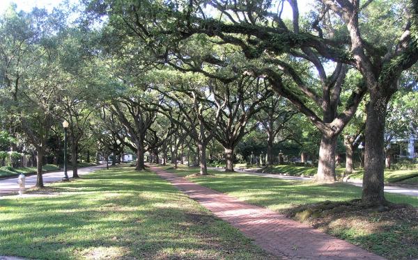 Boulevard Oaks planted its roots in 1920s, '30s