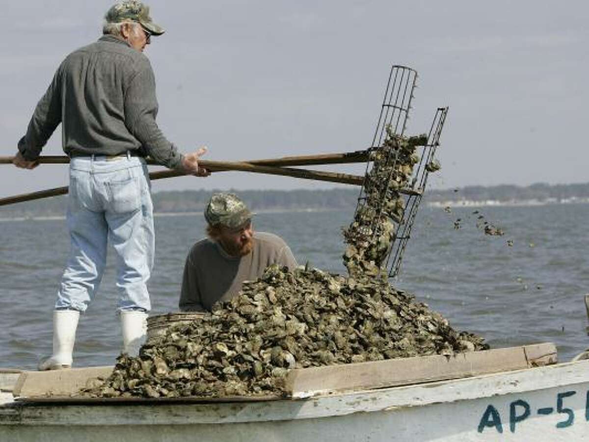 Frank Coulter loads oysters onto the growing pile as his son, Frank Jr., sizes and cleans them for market in March in Eastpoint, Fla. Atlanta's water usage is affecting oyster beds downstream.