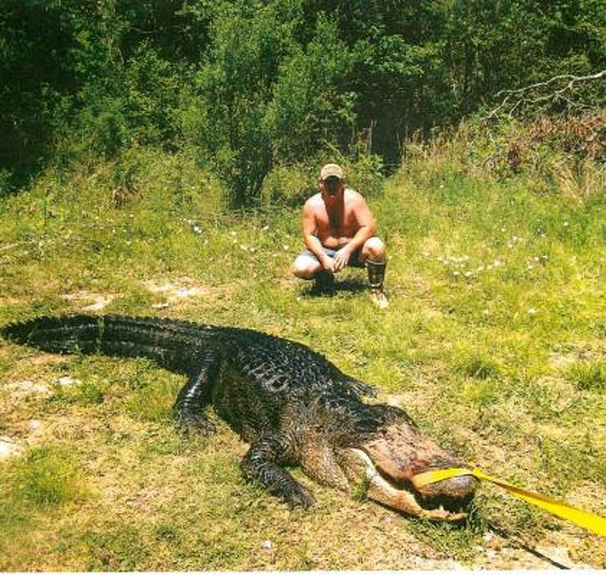 This photo, says the Harris County District Attorney's Office, was taken by one of the two men who have been charged with killing a 600-pound, 13-foot-long alligator in May.