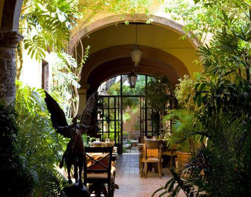 The gardens of San Miguel de Allende  Houston Chronicle