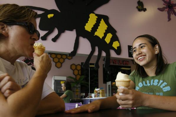 Ice-cream venture creating lots of buzz